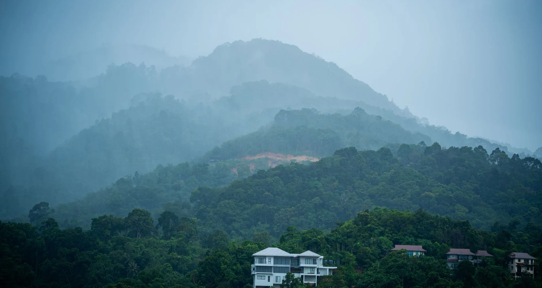 Misty green hills above a hillside neighborhood