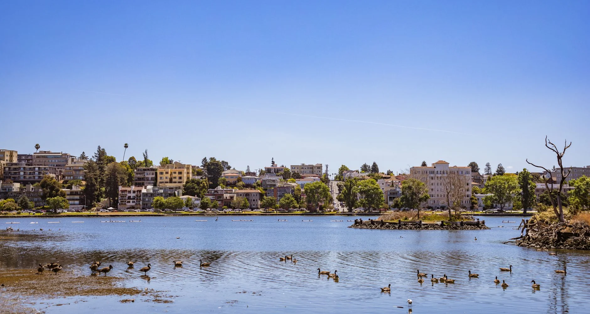 City buildings along a calm lake shoreline