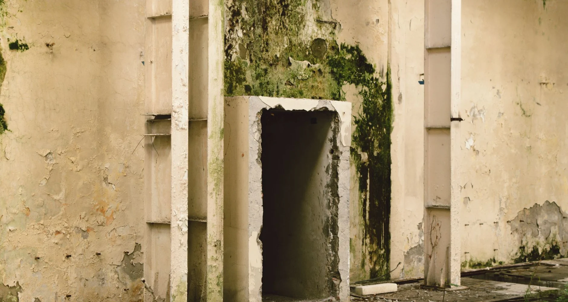 Damp, stained wall in an old building