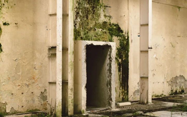 Damp, stained wall in an old building