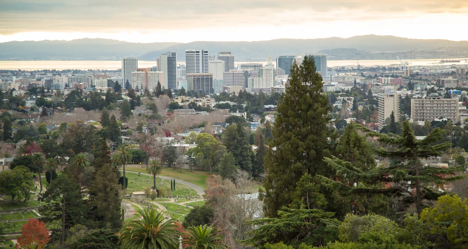 City view from a hillside park