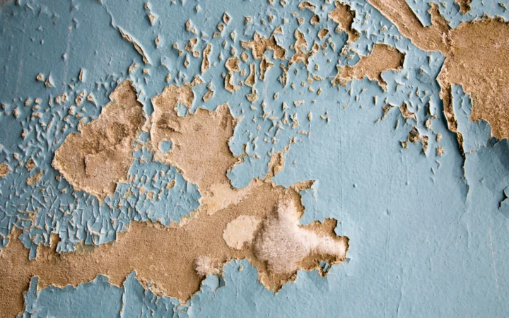 Peeling paint and water stains on a damaged wall
